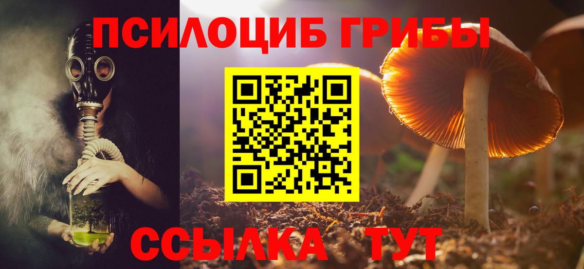 Псилоцибиновые грибы Psilocybe Грязи