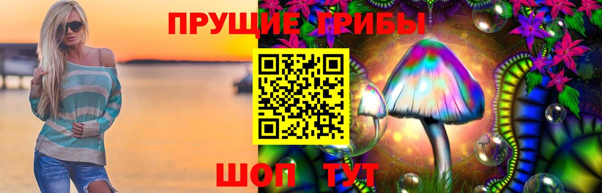 Псилоцибиновые грибы прущие грибы  Вход с VPN  купить закладку  Грязи  Галлюциногенные грибы Magic Shrooms 